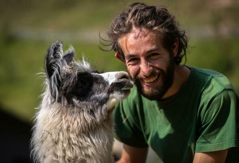 酒店 Agriturismo Le Radici