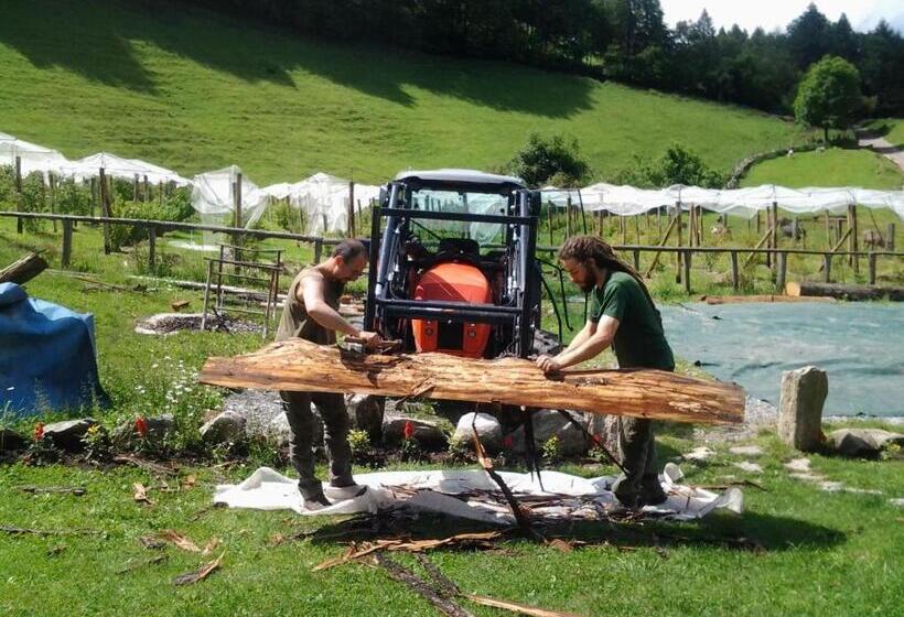 酒店 Agriturismo Le Radici