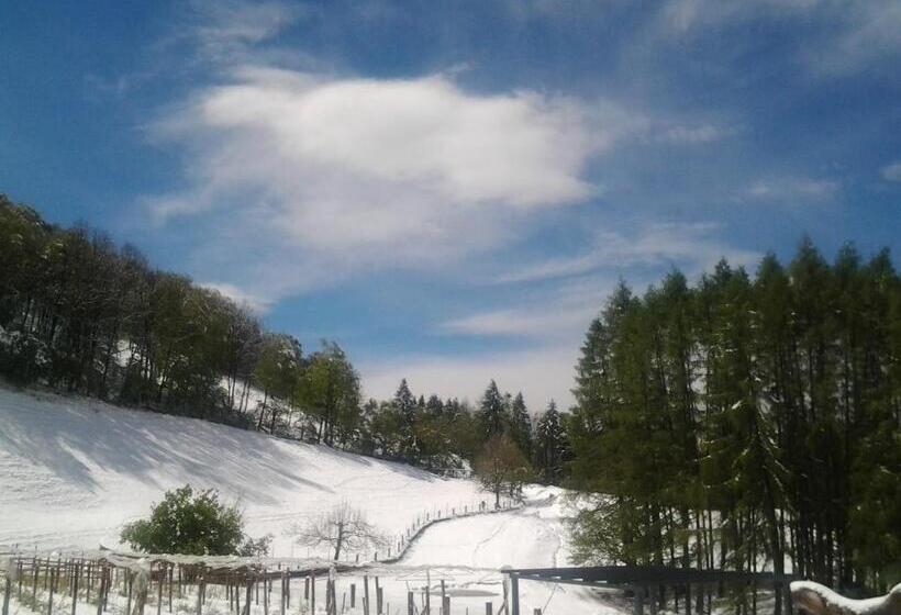 酒店 Agriturismo Le Radici