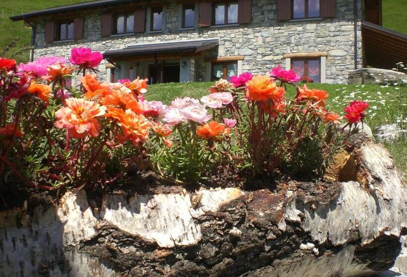 酒店 Agriturismo Le Radici