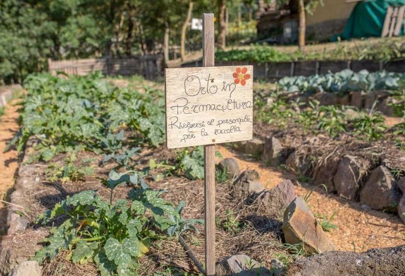 בית מלון כפרי Agriturismo Selvella