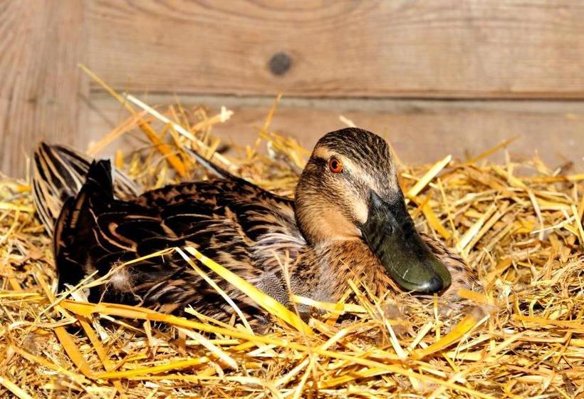 호텔 Ferienwohnung Walderhof Natz