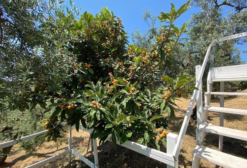 בית מלון כפרי I Giardini Di Margius