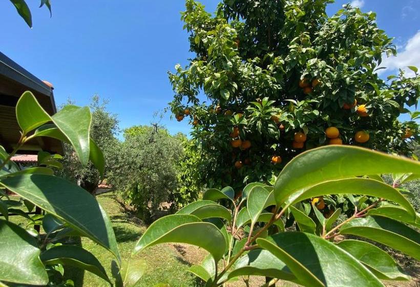 בית מלון כפרי I Giardini Di Margius