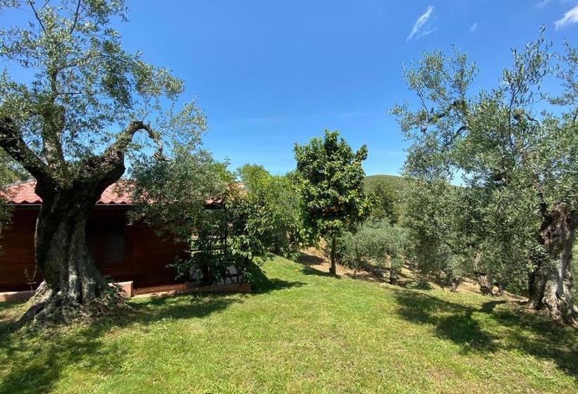 בית מלון כפרי I Giardini Di Margius