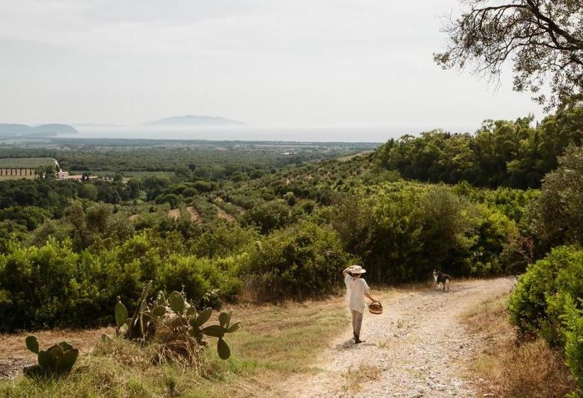Boutique Hotel Poggio Ai Santi   Adults Only
