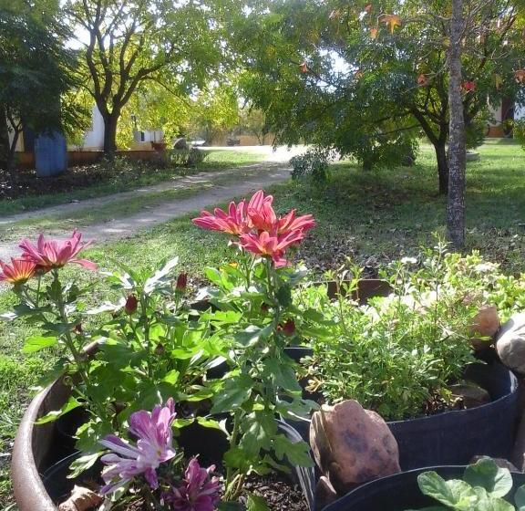 ホテル Quinta Dos Trevos   Artes E Ofícios