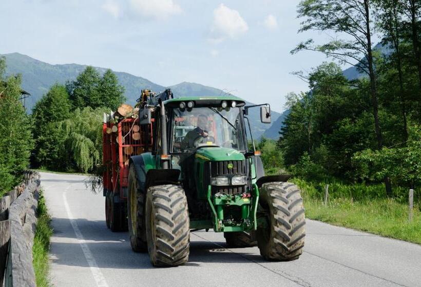 בית מלון כפרי Scheibenhof