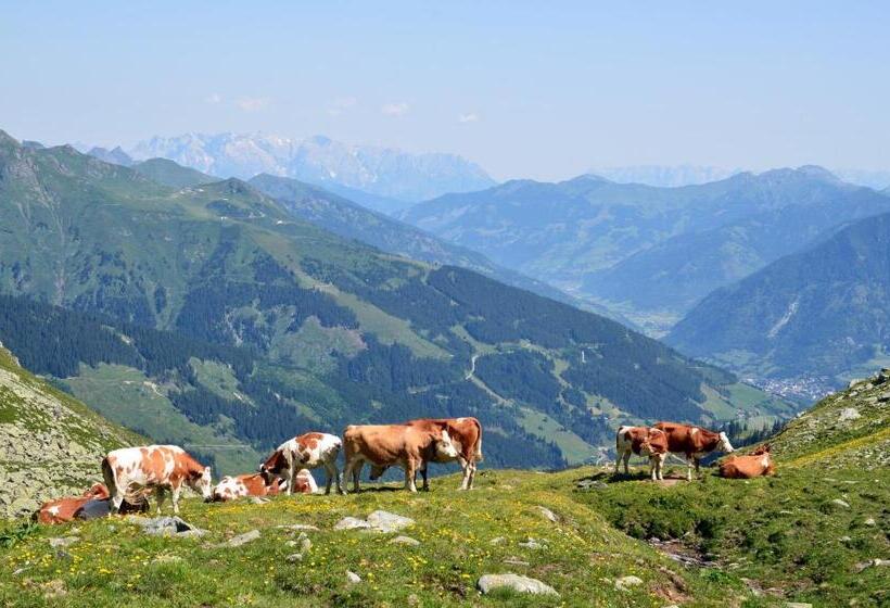 בית מלון כפרי Scheibenhof