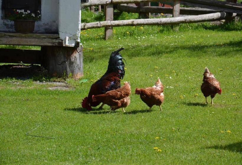 בית מלון כפרי Scheibenhof