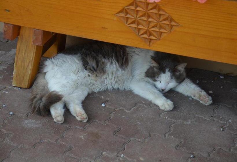 בית מלון כפרי Scheibenhof