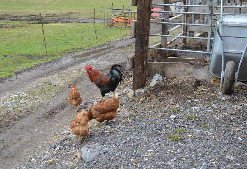 בית מלון כפרי Scheibenhof