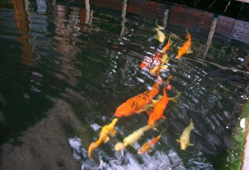 بنسيون 52 Bracelet