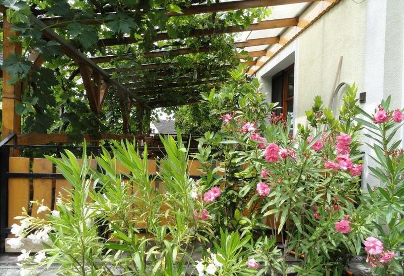 펜션 András Nádfedeles Vendégház