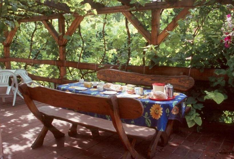 펜션 András Nádfedeles Vendégház