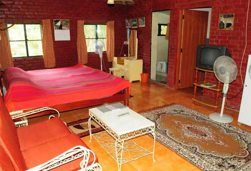 ペンション Bamboo Banks Farm & Guest House