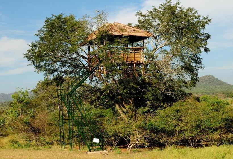 ペンション Bamboo Banks Farm & Guest House