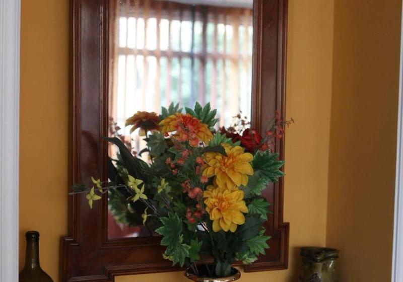 بنسيون Barokk Antik Guest Hause