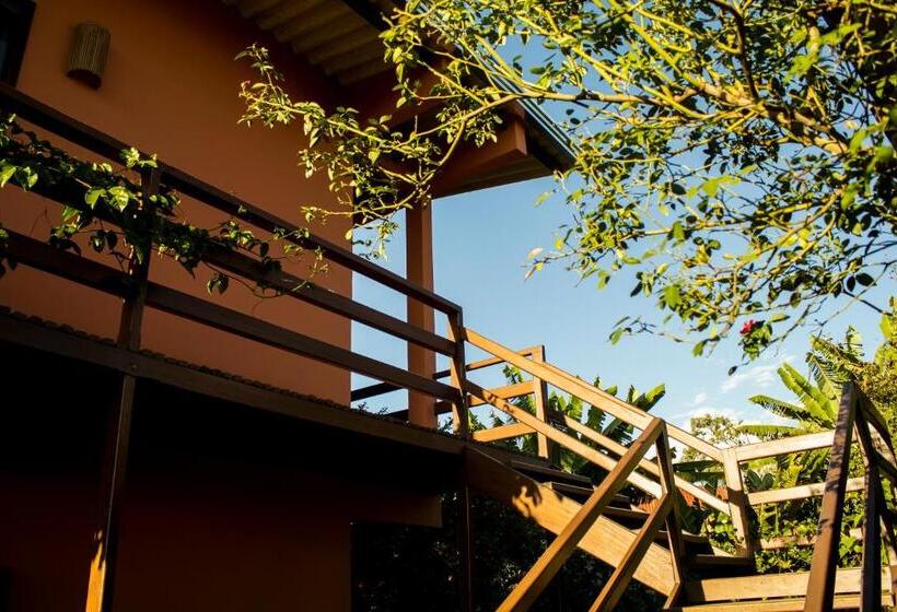 ペンション Buddy's Hostel & Pousada Alto Paraiso