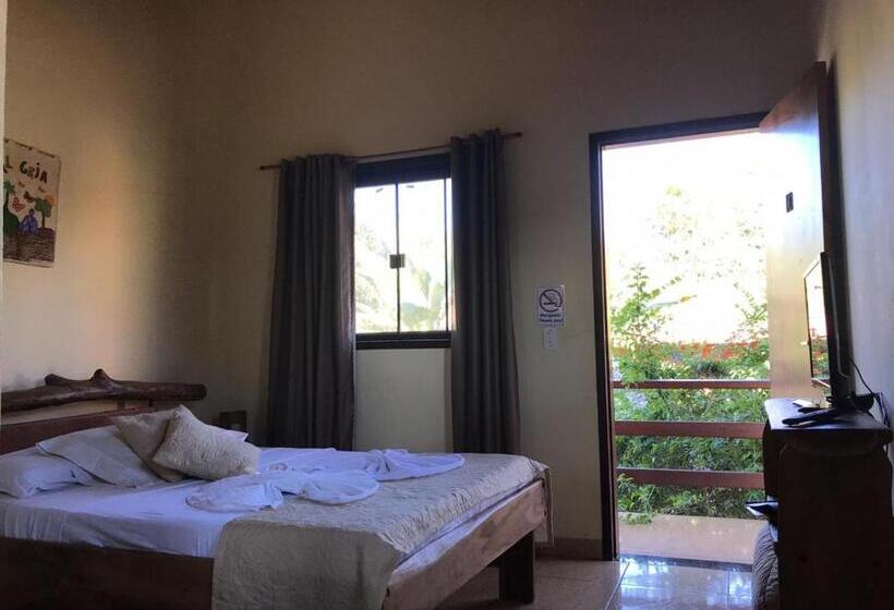 ペンション Buddy's Hostel & Pousada Alto Paraiso