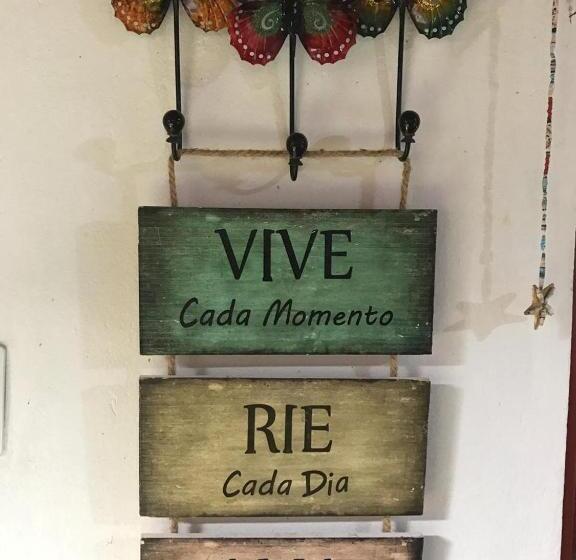 ペンション Buddy's Hostel & Pousada Alto Paraiso