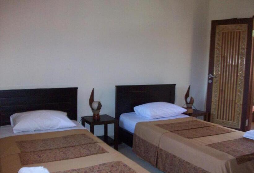 פנסיון Petit Boo Amed