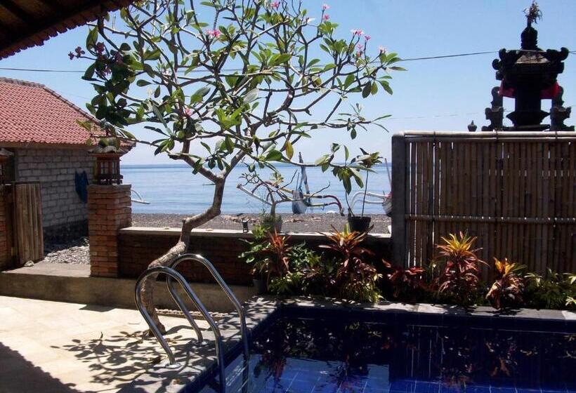 פנסיון Petit Boo Amed