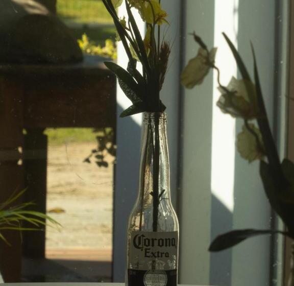 پانسیون Essência Do Sol Pousada