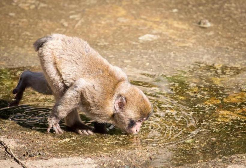 پانسیون Gästehaus Trink B&b