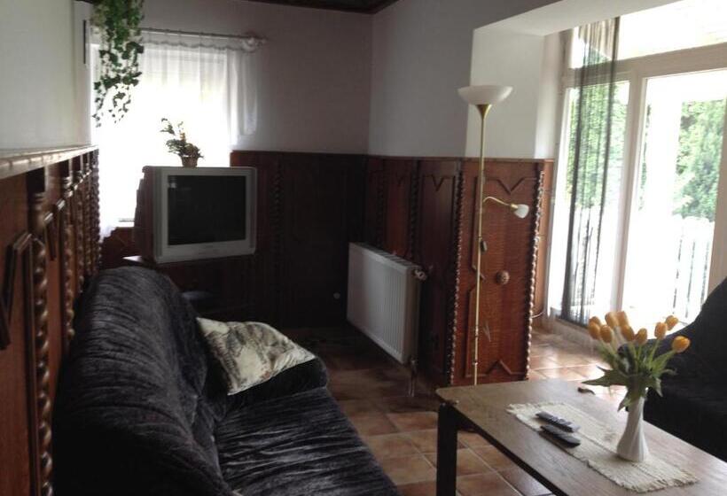 بنسيون Györgyi Haus