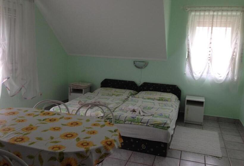 بنسيون Györgyi Haus