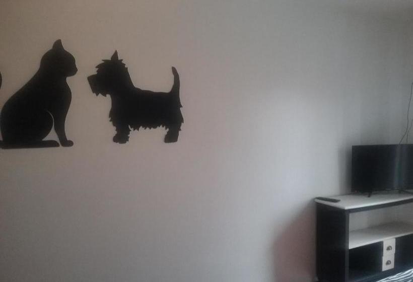 ペンション Hostal La Carretera