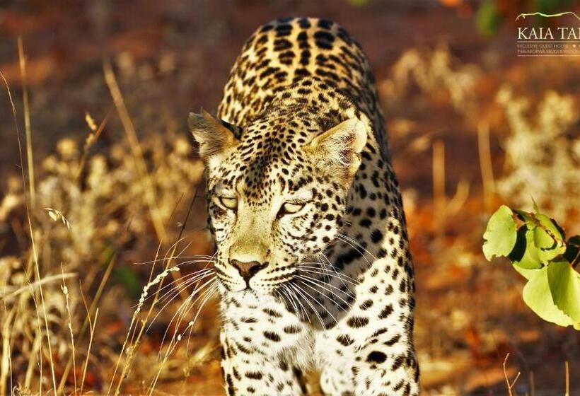 펜션 Kaia Tani Exclusive Guesthouse