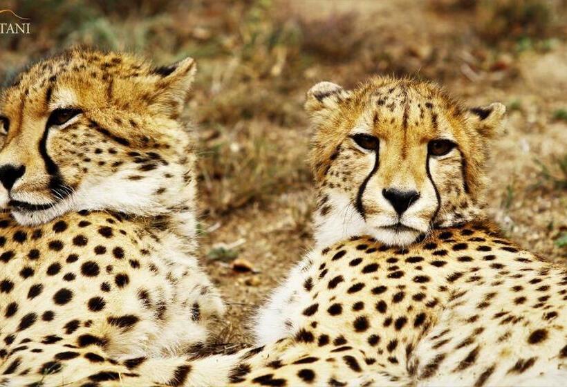 펜션 Kaia Tani Exclusive Guesthouse