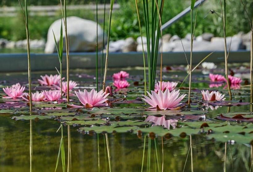 פנסיון Landhaus Huber