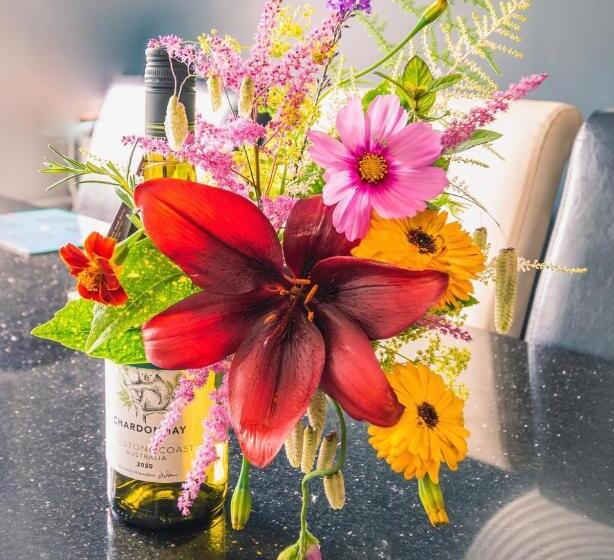 פנסיון Maes Bach