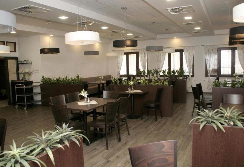 膳宿费 Penzion Aladdin