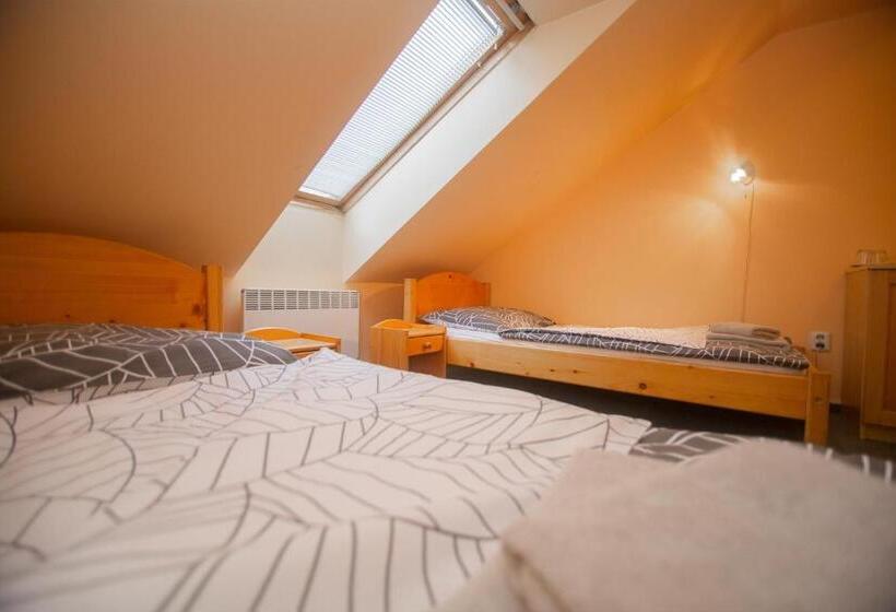 펜션 Penzion Moyzes