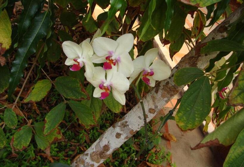 膳宿费 Pousada Diamante