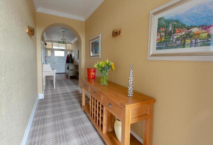 بنسيون The Roses