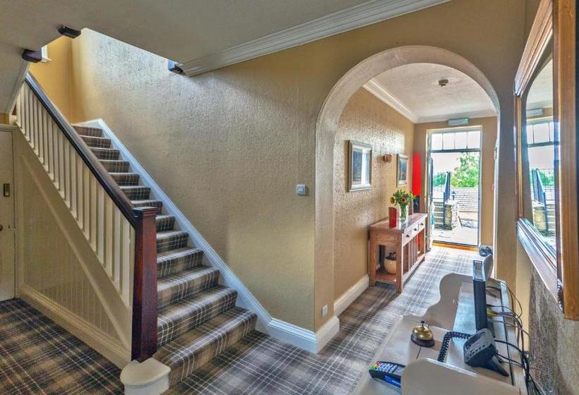 بنسيون The Roses