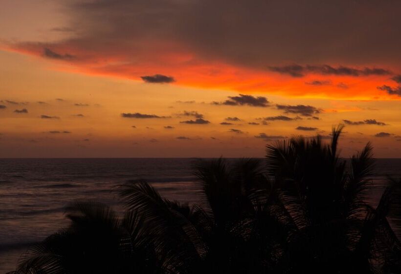 펜션 Timeless Villa