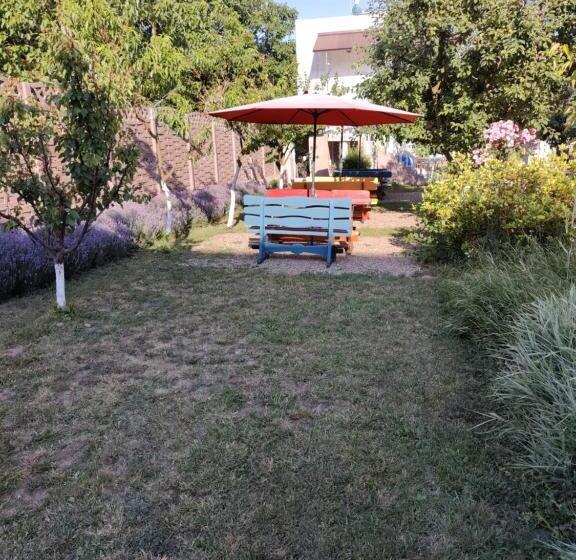 بنسيون Tourist Paradis Costinesti