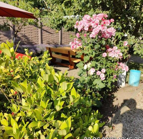 بنسيون Tourist Paradis Costinesti