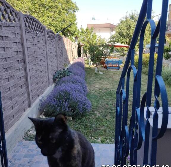 بنسيون Tourist Paradis Costinesti