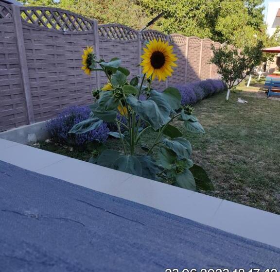 بنسيون Tourist Paradis Costinesti