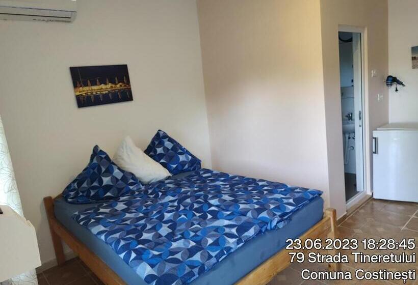 بنسيون Tourist Paradis Costinesti