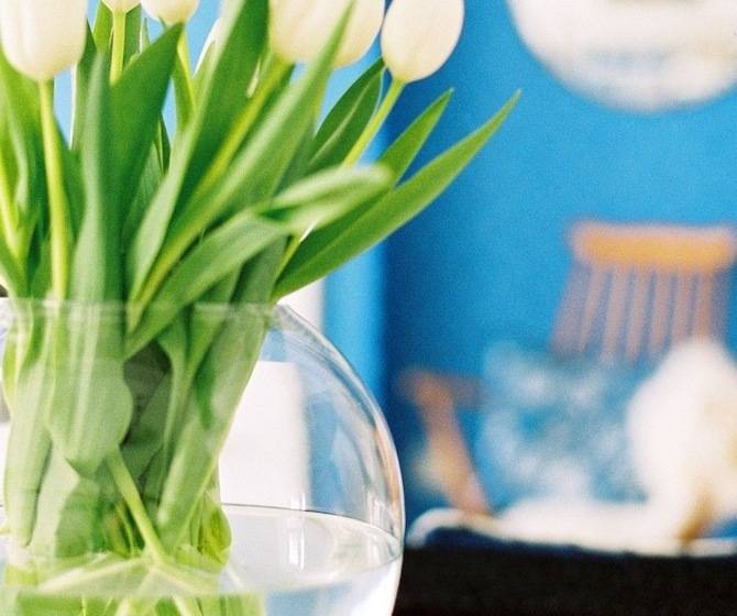 פנסיון Trevose Harbour House