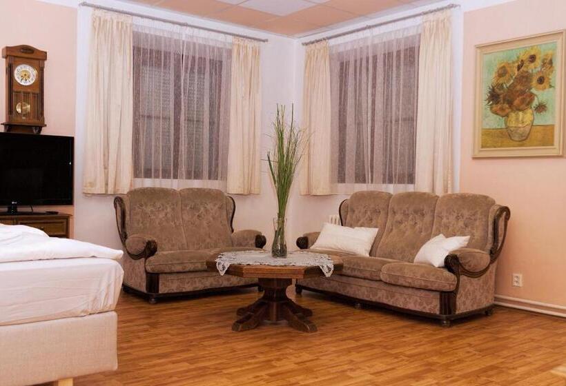 פנסיון U Heligonky