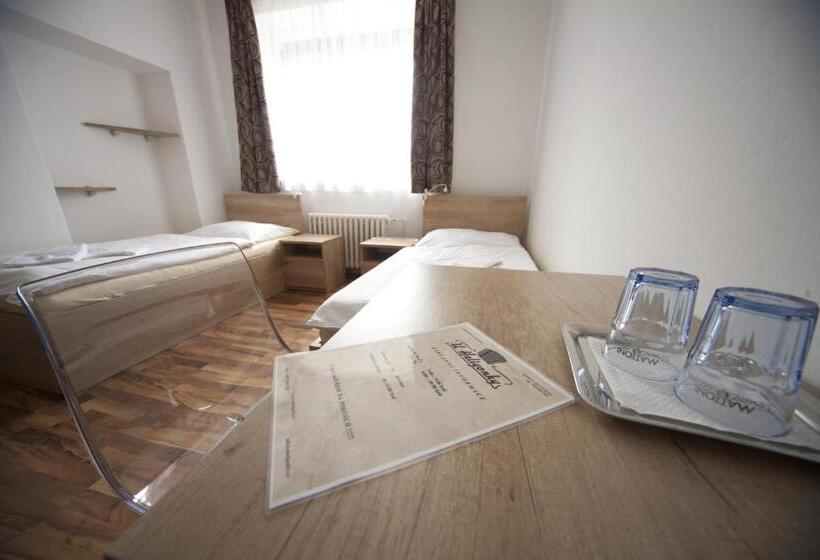 פנסיון U Heligonky